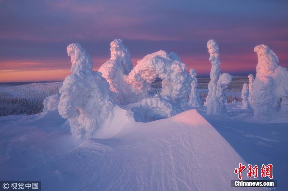 北极圈现罕见雪树景观恍如外星世界