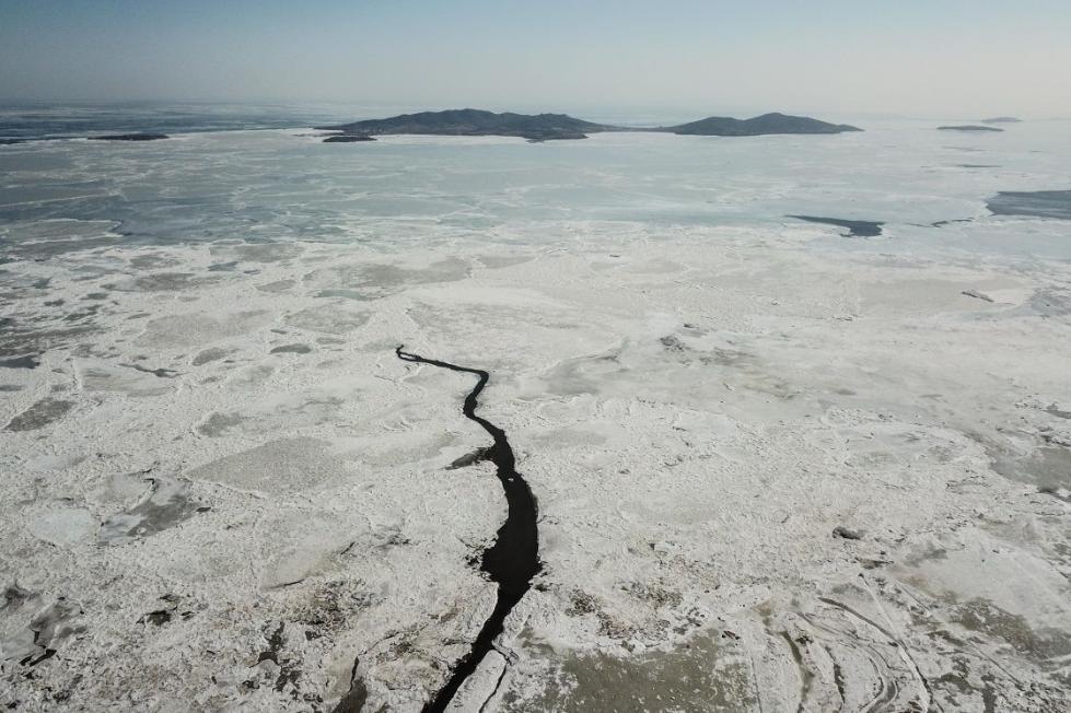 辽东湾近一半面积已结海冰