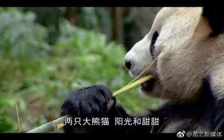 Ӱ¥ɴӰɴռ۸ ױǼұȽϺ Ʒ嵥