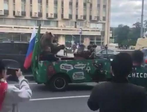 出现在莫斯科街头的熊。视频截图