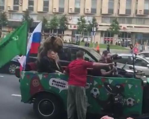 这头熊坐在车上“招摇过市”，看起来丝毫不受惊。视频截图