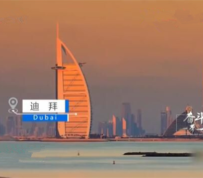 绽放在迪拜的“沙漠之花”！