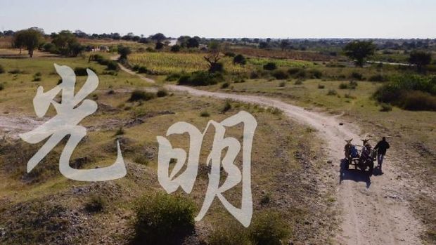 新华社推出中非合作主题纪录片《与非洲同行》