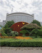 频繁“走亲戚”，中非共建紧密命运共同体