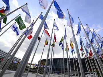 埋下合作的种子,期待长成参天大树