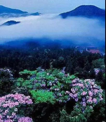 1122334236_15172039086241n 4.png