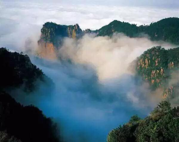 1122334236_15172039086831n 5.png