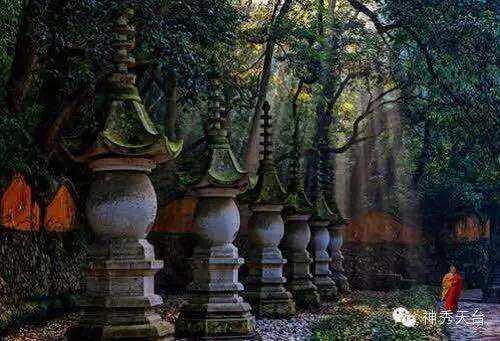 1122334236_15172039086981n 6.png