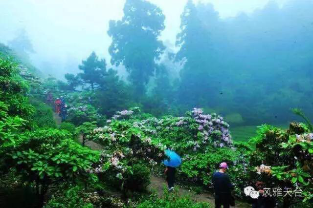 1122334236_15172039087091n 7.png