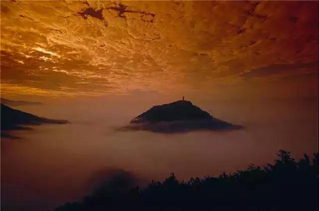 1122334236_15172039087271n 10.png