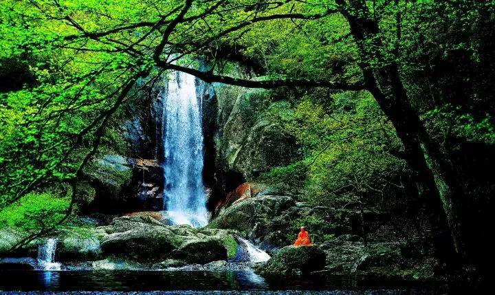 1122334236_15172039087431n 12.png