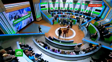 Ukraine Debate Sparks Epic Rumble Live on Russian TV (VIDEO) - Sputnik International.mp4_1519450470.gif