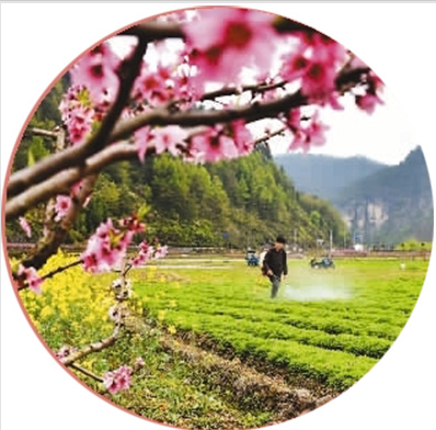 1522702748437689.png blob.png