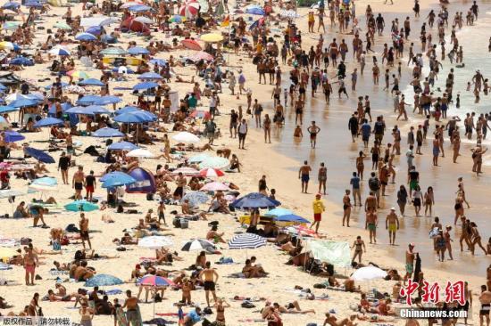 资料图：悉尼海滩上晒太阳的人群。