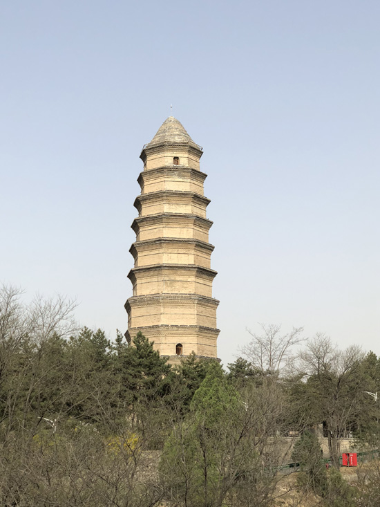 1522813349641600.jpg 1.jpg