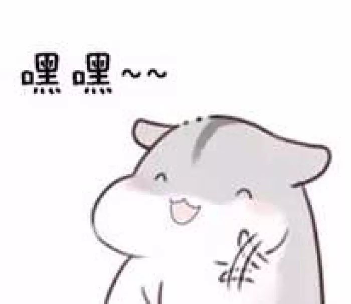 Ӱ¥ɴӰɴռ۸ ױǼұȽϺ Ʒ嵥