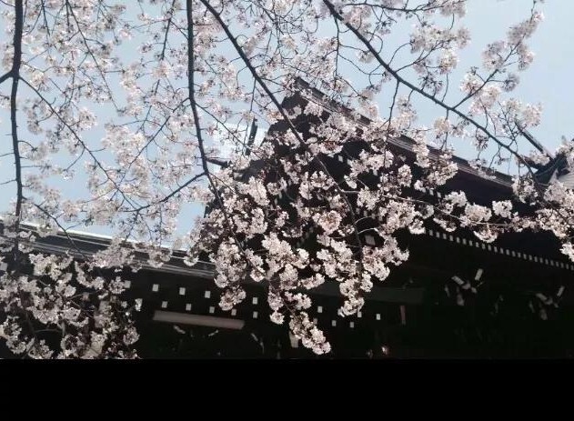 Ӱ¥ɴӰɴռ۸ ױǼұȽϺ Ʒ嵥