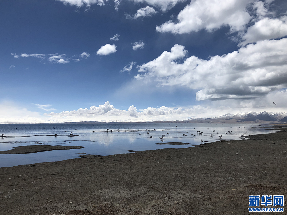 137171942_15260158253021n 1.jpg