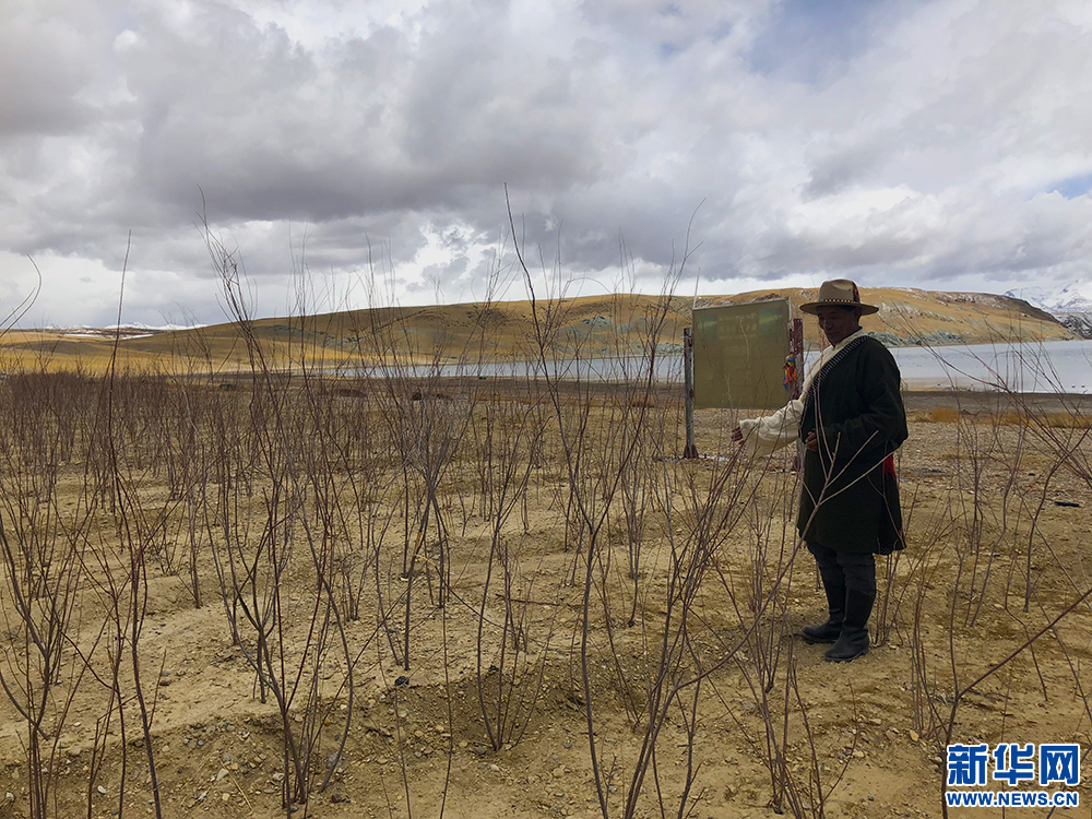 137171942_15260158255811n 3.jpg