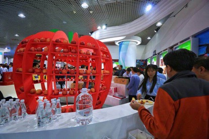 延安展览厅内展示的陕西苹果。（央视网 王莉莉 摄）