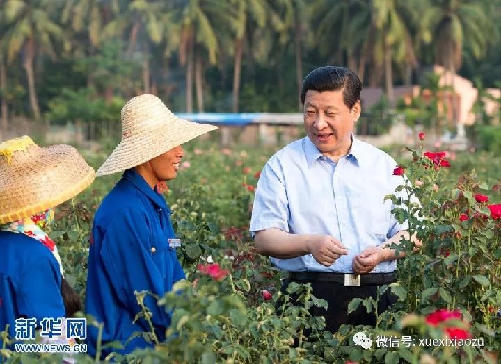 学习小组4.png
