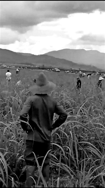 云南陨石遭“爆炒”的疯狂与风险