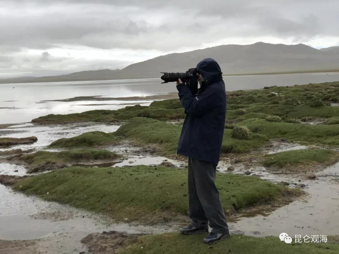 微信图片_20180628070927 2.jpg