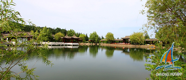 华夏集团生态修复项目04