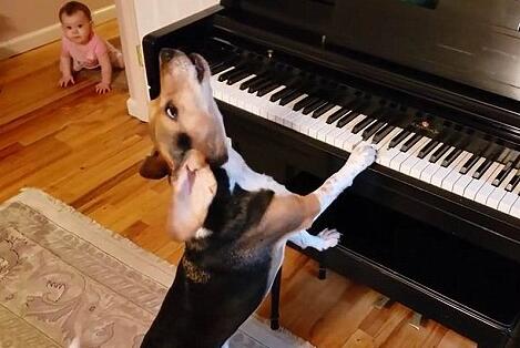 1533190983526567.jpg QQ截图20180802140851.jpg