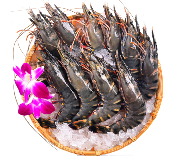 1533375001222531.png 19.png