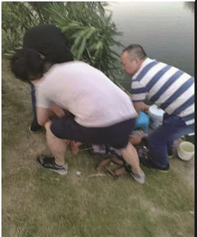 1533599197738037.jpg res15_attpic_brief.jpg