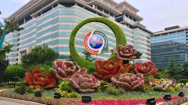 太美了！中非合作论坛峰会景观布置全部到位，北晚带您先睹为快！