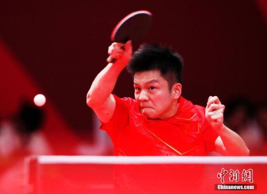 图为中国选手樊振东在比赛中。<a target='_blank' href='http://www.chinanews.com/'>中新社</a>记者 刘关关 摄