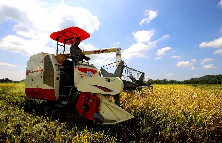 秋收的中国，你想象不到的美！但更美的是……
