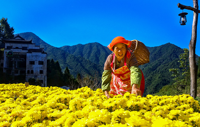 秋收的中国，你想象不到的美！但更美的是……