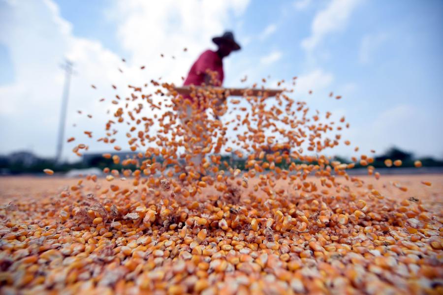 秋收的中国，你想象不到的美！但更美的是……