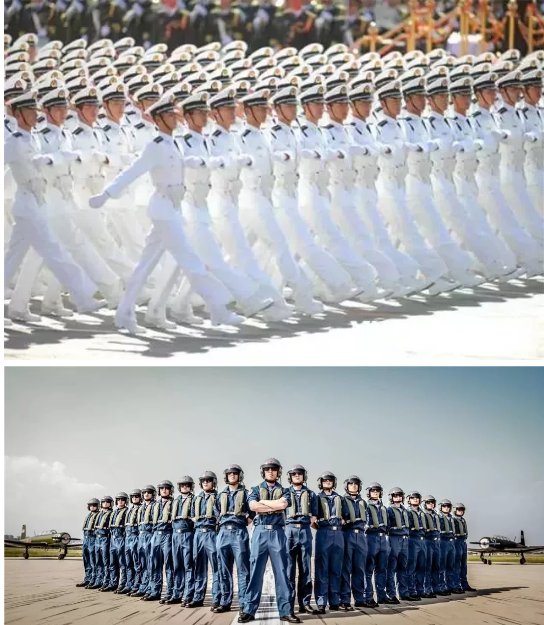 1537777422558871.png image.png