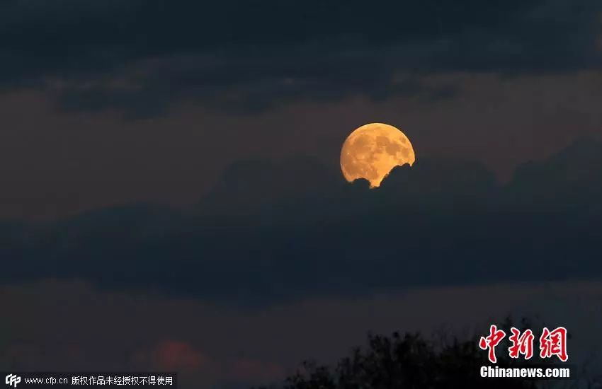 唐诗宋词里的中秋，美到心醉