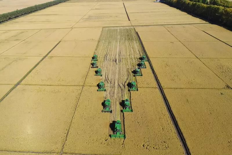 丰收节后第二天,习近平考察了这个名字不一般