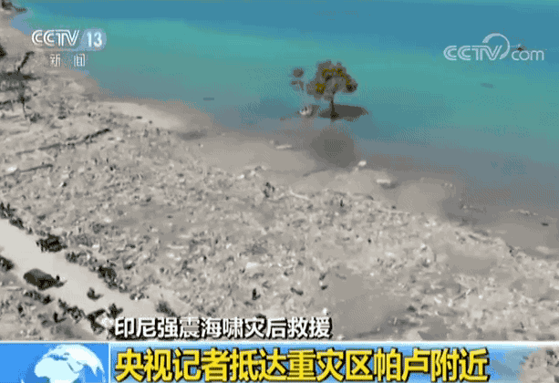 印尼海啸致数千人遇难 21名中资企业员工被困灾区