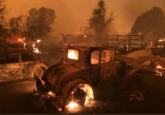 1541731457899127.jpg 23啊啊啊啊.jpg