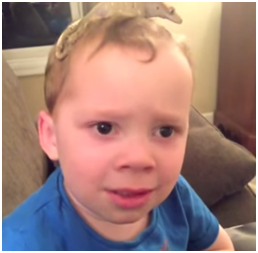 1541756526982996.png 12.png