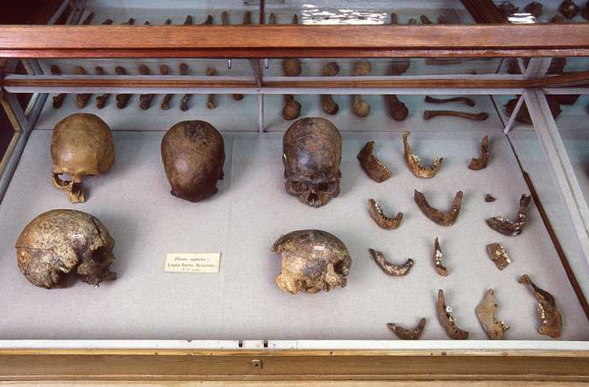 1541771592769137.png 5.png