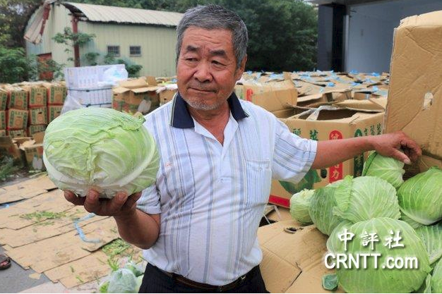 台70岁菜农:农民生活太辛苦 不反台当局不行了
