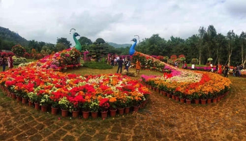 第十届农博会·第二十届花博会在漳州花博园开幕