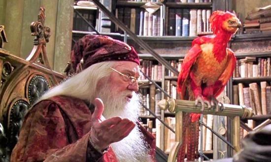 【中国那些事儿】上古神兽驺吾全球圈粉无数 中国神话成外国电影新灵感富矿