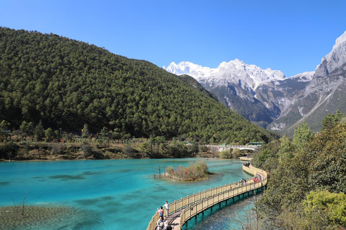 1542867336199101.png 1542867336199101.png