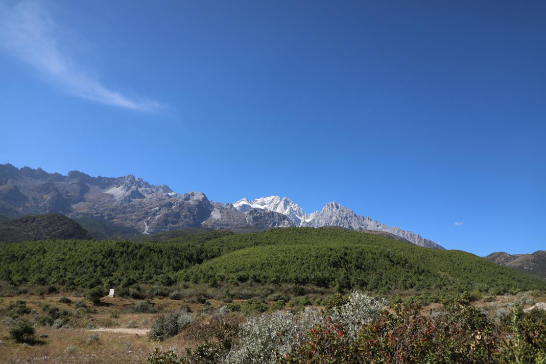 1542867408330876.png 1542867408330876.png