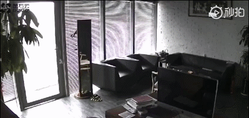 今早台湾海峡3次地震 这则谣言又在朋友圈里刷屏了