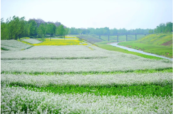 1543561862588122.png QQ图片20181130145956.png